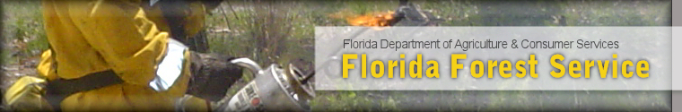 Florida Forest Service